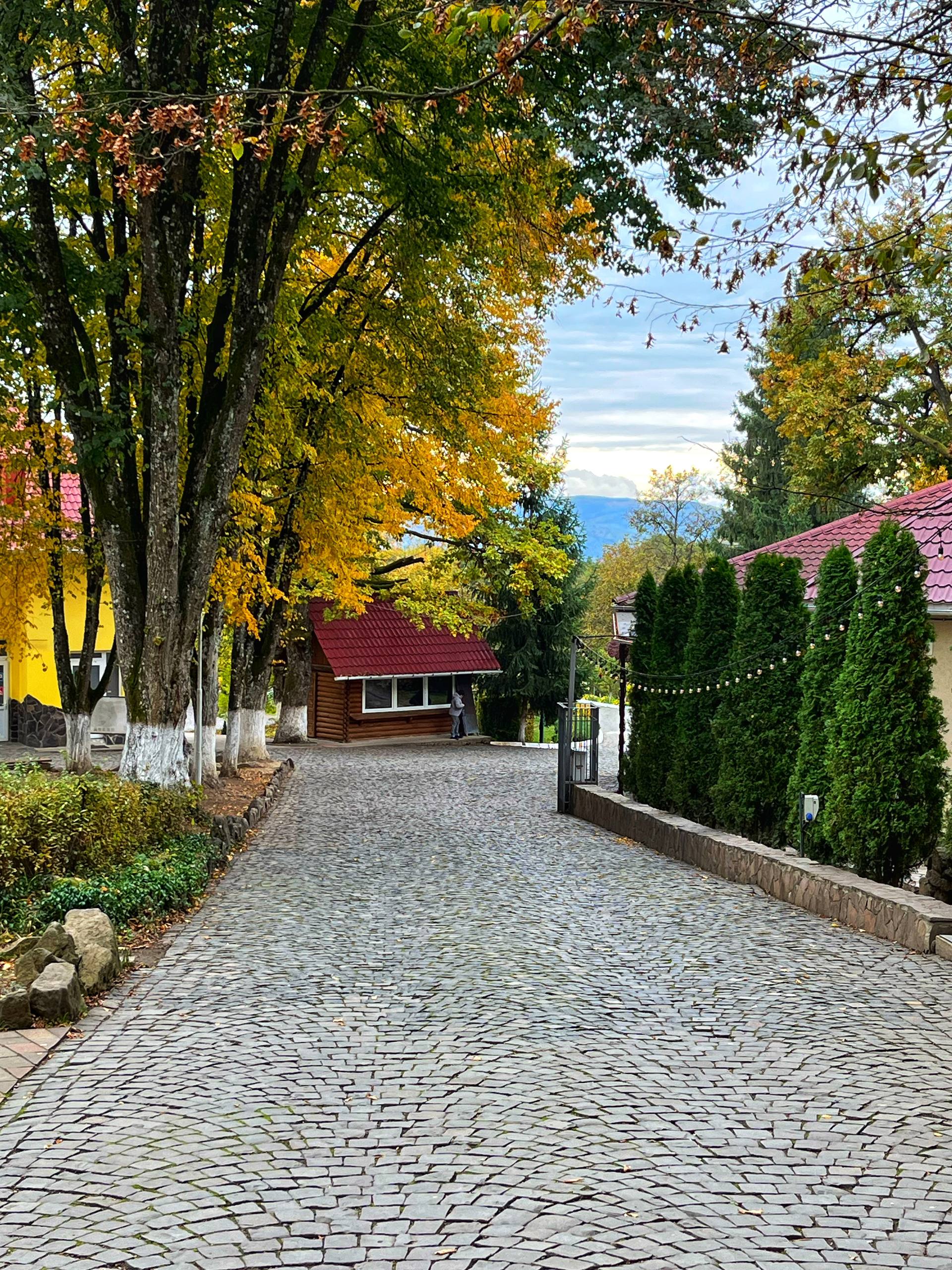 Фото табору Водограй у Карпатах