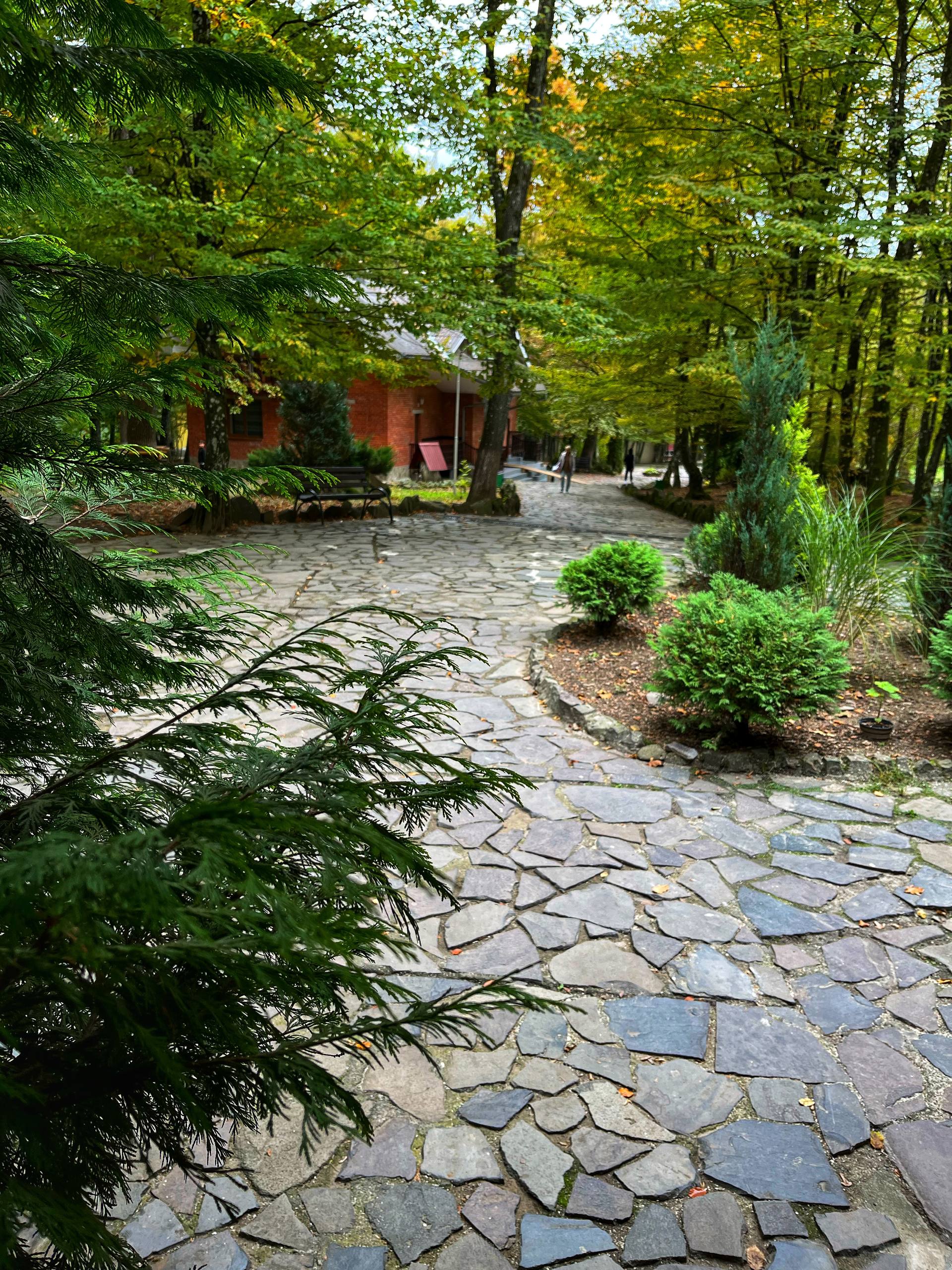 Фото території табору Водограй